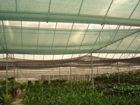 廣(guang)西遮陽網批(pi)發，南甯遮陽(yang)網廠家