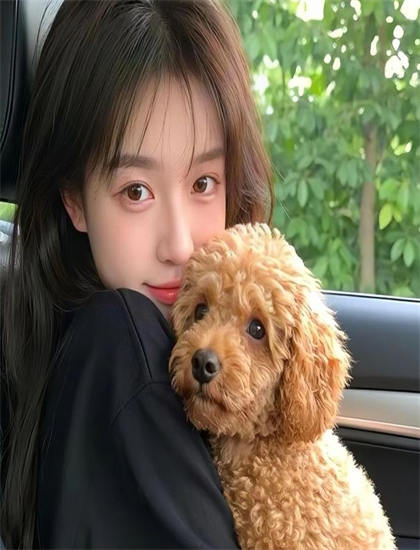 《娱乐追击》美学价值个人分析：艺术美感与审美特征探讨，免费观看